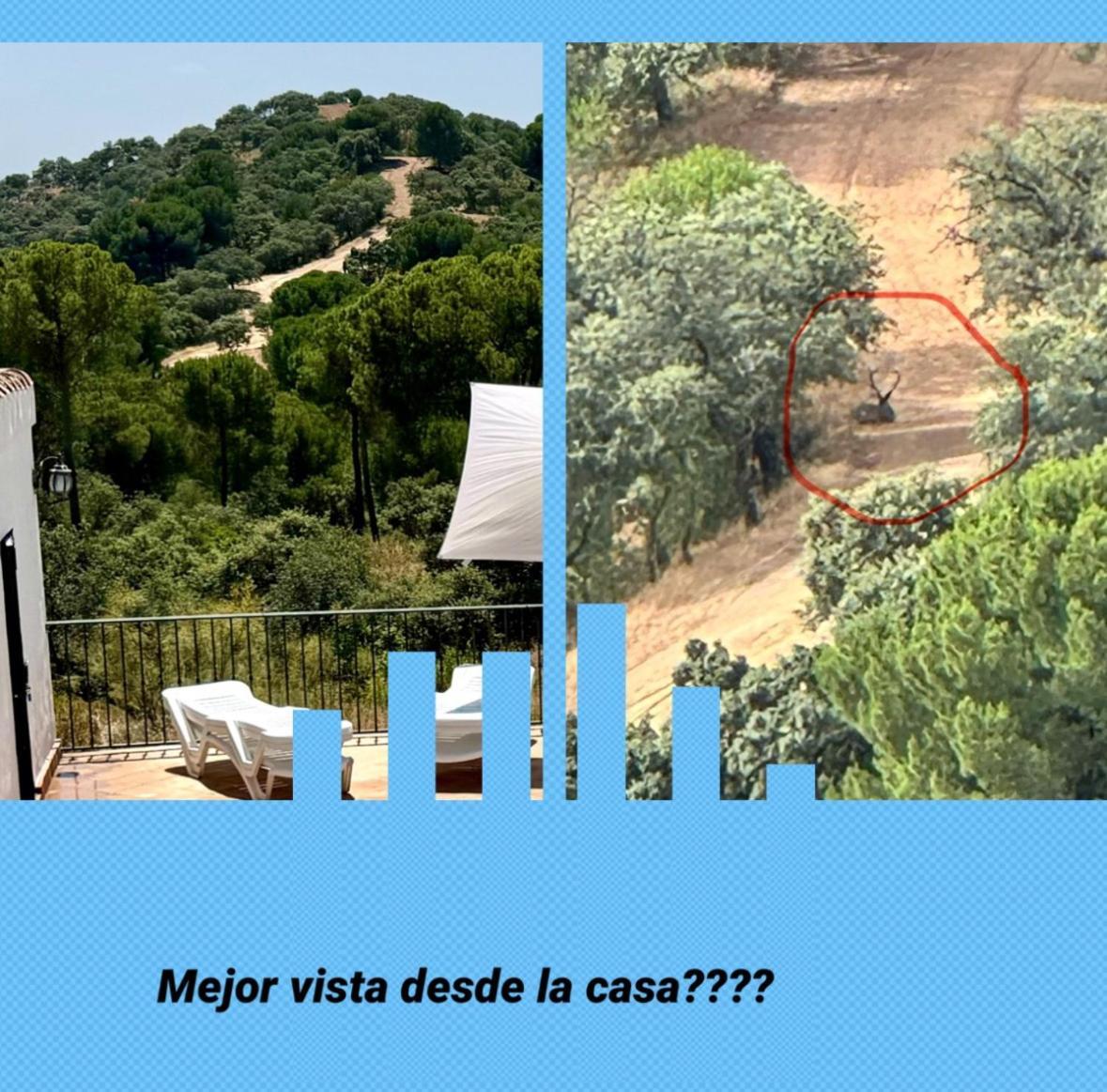 Casarural Sierramorena Dos Encinas Andujar Bagian luar foto